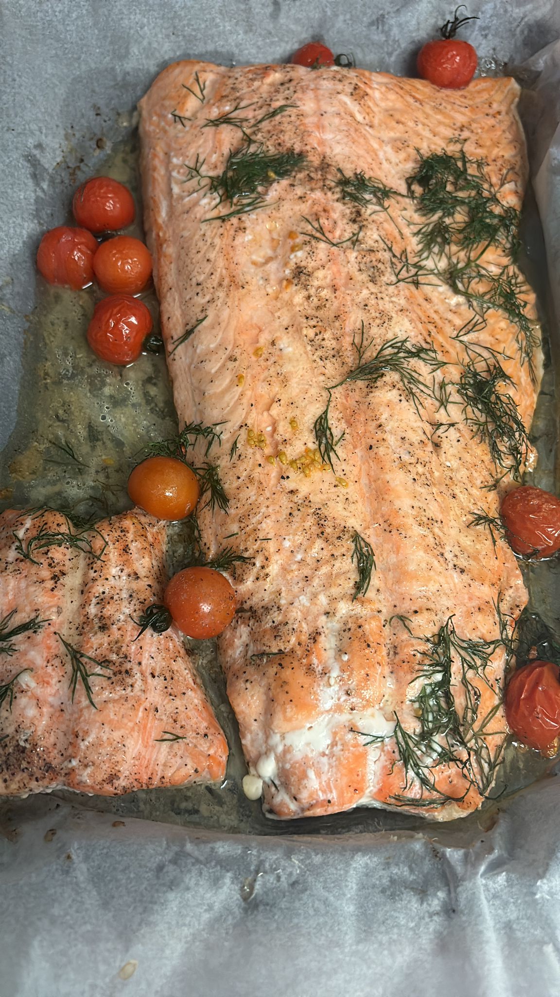 Salmon